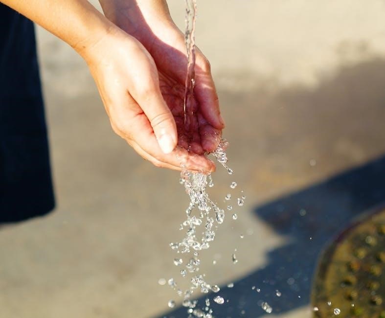 a o smith water softener manual