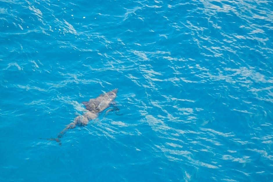 pdf island of the blue dolphins