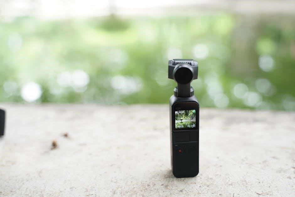 dji pocket 2 shortcuts pdf