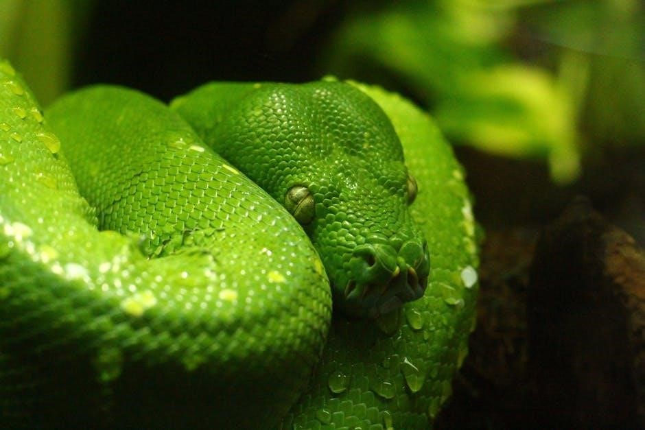 python pdf to html