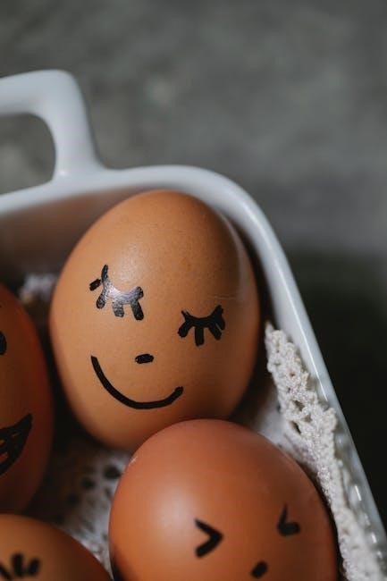 hard boiled egg cooker instructions