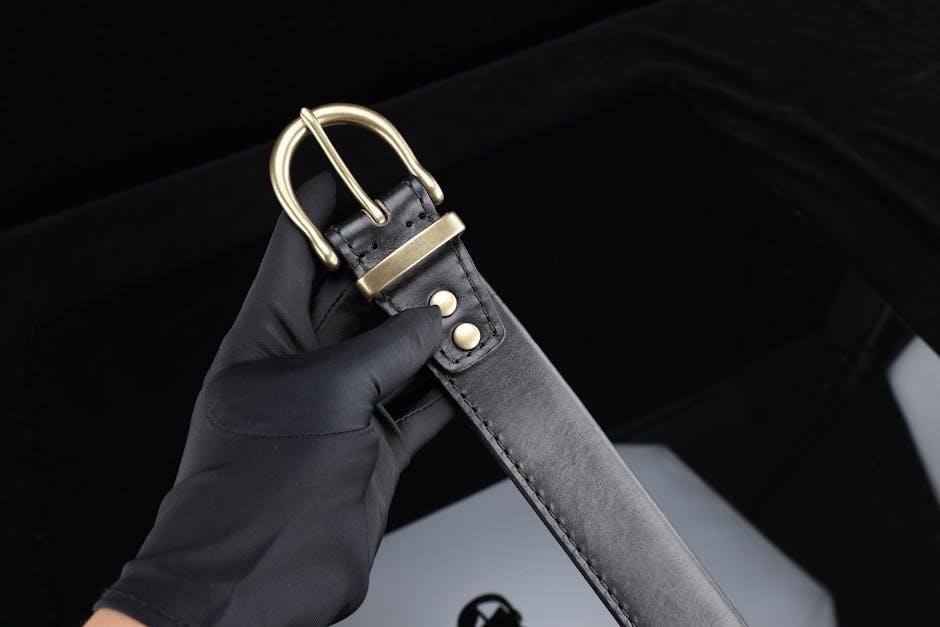 belt size guide women’s